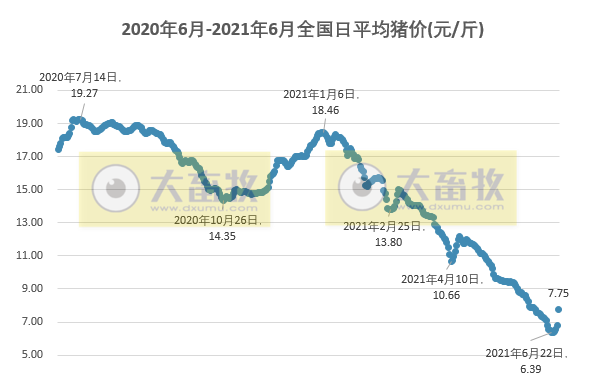 2021.6.27-今日猪价火箭式暴涨,各地最高猪价均涨1.2元一夜进入8元时代,前5个月全国已淘汰345万头能繁母猪同增108%