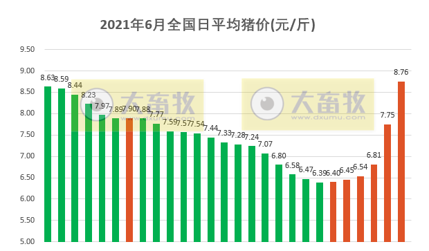 2021.6.28-今日猪价一飞冲天，两广冲破10元，此轮上涨能持续多久？最艰难的时候过去了吗？