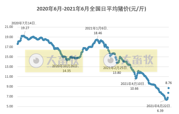 2021.6.28-今日猪价一飞冲天，两广冲破10元，此轮上涨能持续多久？最艰难的时候过去了吗？
