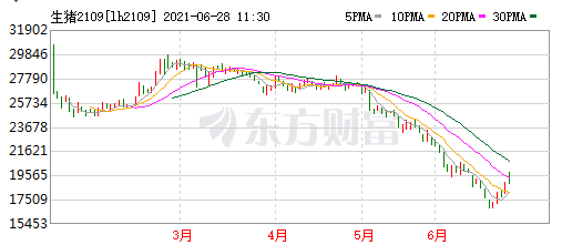2021.6.28-今日猪价一飞冲天，两广冲破10元，此轮上涨能持续多久？最艰难的时候过去了吗？