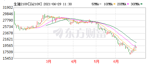 2021.6.29-今日猪价多地下跌，暴涨后回落，中央和地方将启动猪肉收储工作，非瘟疫苗生产线已建成已储备3000万头份疫苗