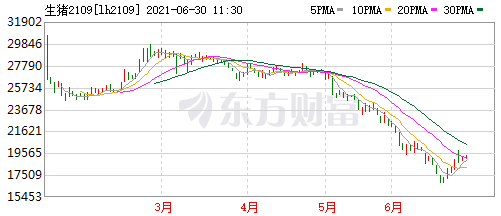 2021.6.30-今日猪价下行，而东北独涨，仍压猪惜售？仔猪价格连跌14周较峰值降6成，今年以来全球已发生4000起非瘟疫情