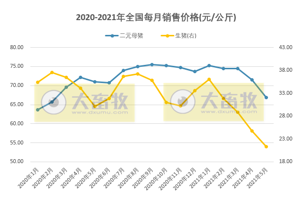 2021年5月生猪行业数据汇总
