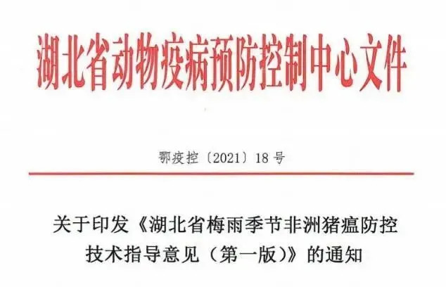 雨季非洲猪瘟怎么防？湖北出台官方指导意见！