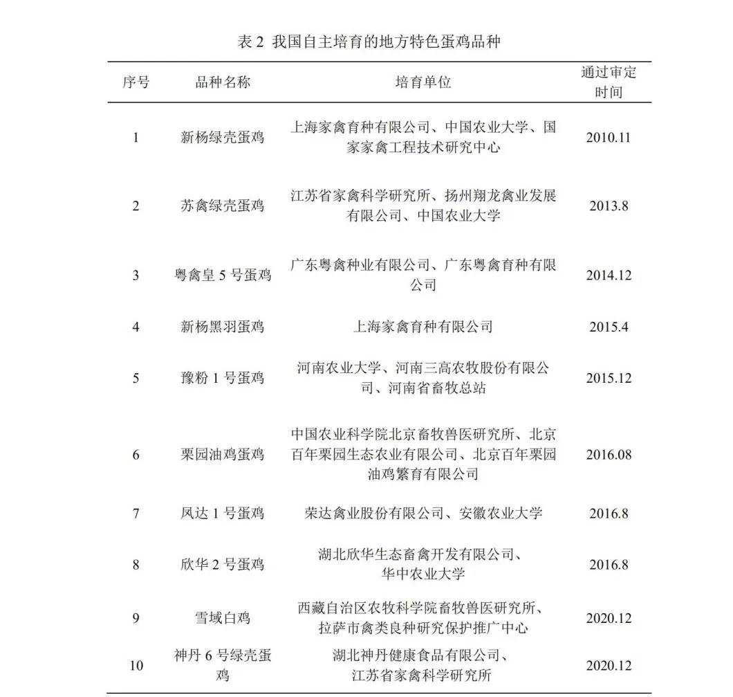 蛋鸡种业的昨天、今天和明天