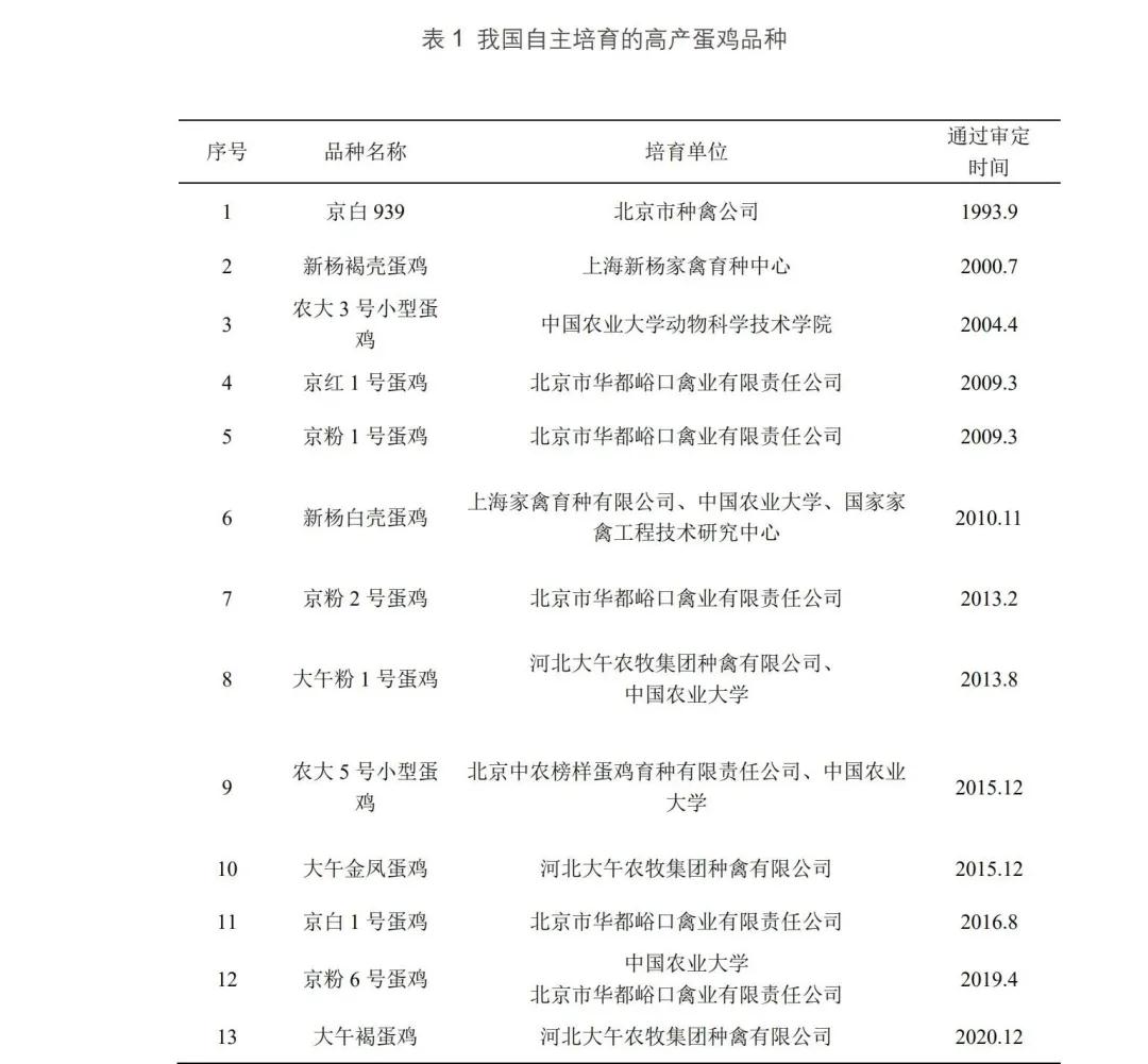 蛋鸡种业的昨天、今天和明天
