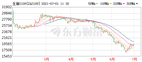2021.7.1-今日猪价开门红，是真涨还是假涨？发改委预计生猪头均亏800元，扬翔申请IPO拟募资百亿元扩产，正邦称生猪行业未来3-5年成本是主线