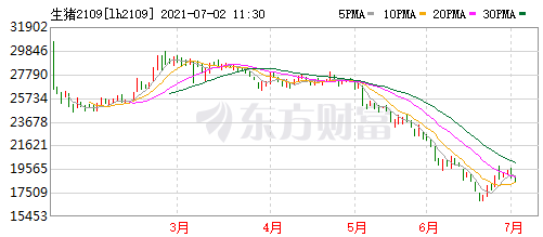 2021.7.2-今日猪价19省上涨，两广和东北下跌，温氏第1季度已停止新项目开工，禾丰拟募资15亿新建7个生猪产业链项目