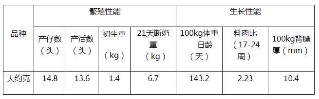 大约克母猪和长白母猪的特点