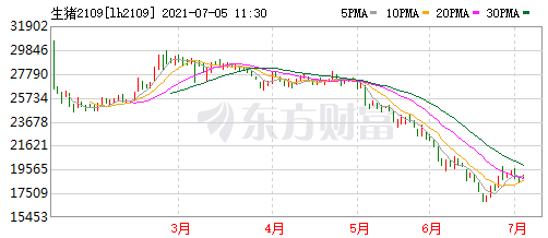 2021.7.5-今日猪价震荡下行，有7省上涨，能繁母猪存栏同环比增幅下降，金新农聘任赵祖凯担任总经理，傲农6月生猪销量因留种留苗环比下降