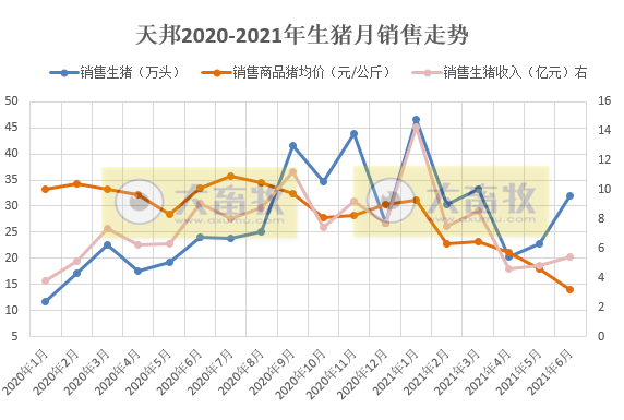 2021.7.7-今日猪价稳中震荡，7月第1周迎来好消息活猪猪肉价格上涨饲料下跌仔猪下跌收窄，天邦6月生猪均价环跌35%，正邦已为母猪肥猪购买保险