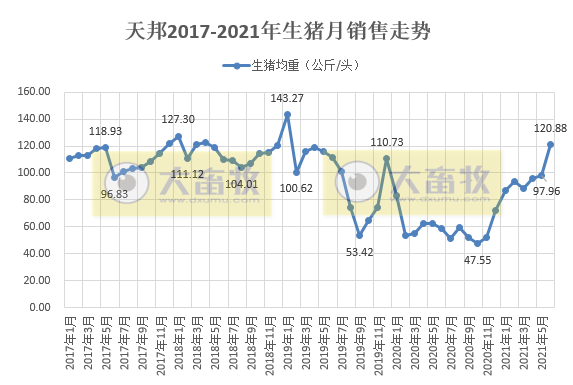 天邦股份:6月生猪收入环比增长约13%,均价环比下降35%,上半年生猪销量同比增长65%