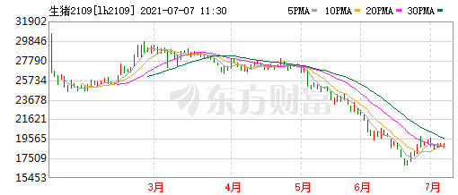 2021.7.7-今日猪价稳中震荡，7月第1周迎来好消息活猪猪肉价格上涨饲料下跌仔猪下跌收窄，天邦6月生猪均价环跌35%，正邦已为母猪肥猪购买保险