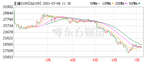 2021.7.8-今日猪价震荡，东北西北上涨，生猪亏损幅度收窄，四川出台最新猪十条，河南一起假兽药案涉案金额超700万元，温氏6月生猪销量破百万连涨4个月