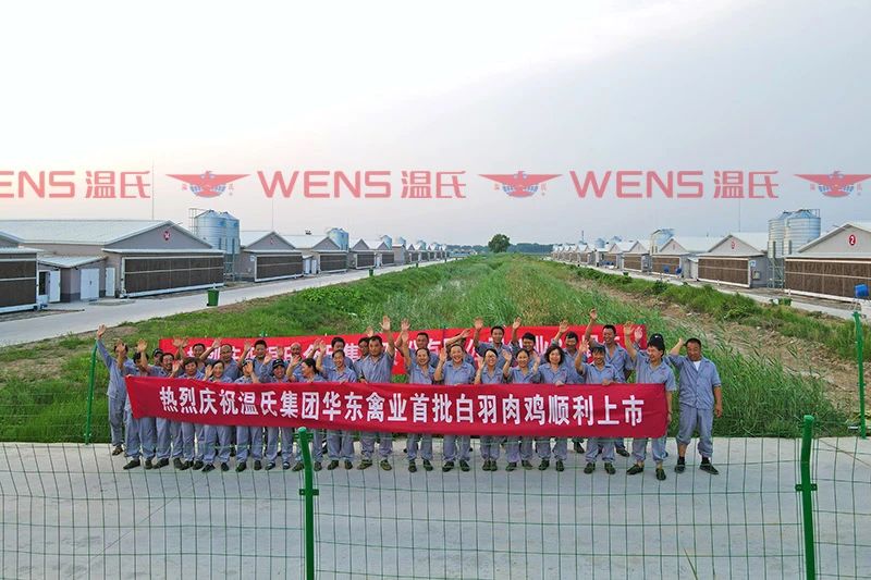 温氏华东禽业公司首批白羽肉鸡上市,计划85万羽