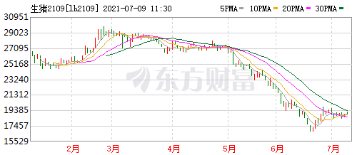 2021.7.9-今日猪价16省飘红，猪肉收储均价约13元/斤有3千吨流标，商务部说下半年猪价稳中盘整，新希望6月生猪均价同比下降六成