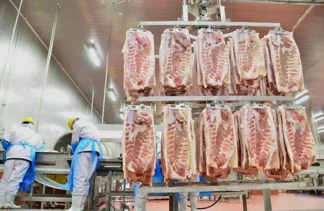 川猪收储投放将由“临时”变“常态”