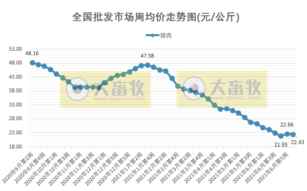 2021.7.10-今日猪价一大片上涨,较前期低谷涨了近三成,广东种猪出栏量居全国第一,金新农6月均价环降32%,新蓝耳病击穿美国养猪业