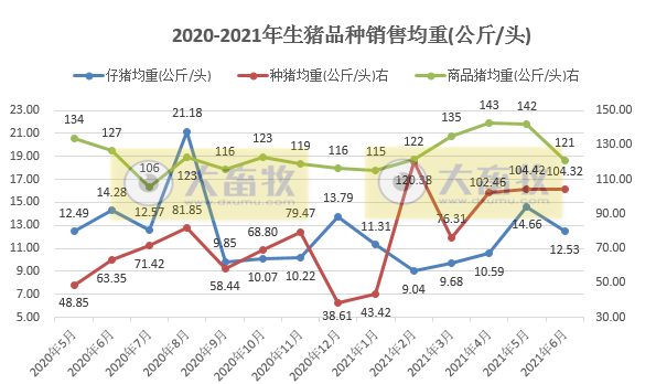 金新农：6月生猪均价环比下降32%，同比下降63%，半年销量同比增长158%