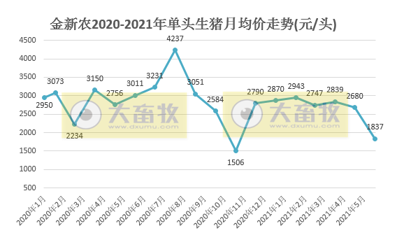金新农：6月生猪均价环比下降32%，同比下降63%，半年销量同比增长158%