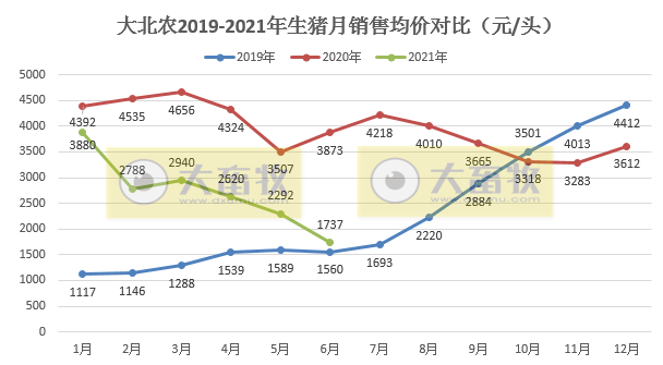 大北农：单头生猪销售均重连涨4个月，上半年生猪销量同比增长157%