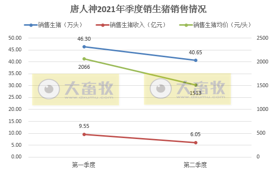 唐人神：6月生猪销量和收入同环比均上升，上半年生猪销量同比上升210%