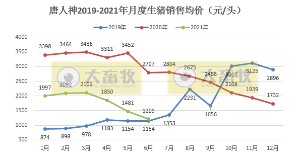 唐人神：6月生猪销量和收入同环比均上升，上半年生猪销量同比上升210%