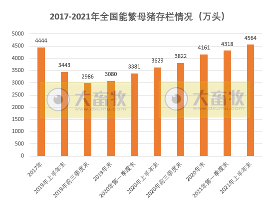 最新数据！国家统计局：上半年全国猪肉产量增长35.9%，生猪存栏4.4亿头，能繁母猪存栏4564万头，均同比增长25%以上