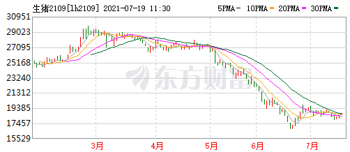 2021.7.19-今日猪价震荡上扬，9省上涨，四川排查出一起非洲猪瘟疫情，第三次中央猪肉收储工作启动，又有1家猪企上半年预计亏损
