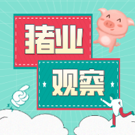 生猪价格持续低位震荡，上市猪企“花式”补流过冬，养猪盈利最快也要到明年第二季度