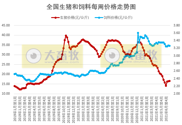 2021.7.21-今日猪价继续全面上涨,突破8元,仔猪价格再跌,6月生猪屠宰量2200万头同增66%,生猪养殖头均亏损570元连亏9周,郑州大水影响牧原了吗?