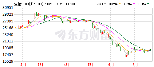 2021.7.21-今日猪价继续全面上涨,突破8元,仔猪价格再跌,6月生猪屠宰量2200万头同增66%,生猪养殖头均亏损570元连亏9周,郑州大水影响牧原了吗?