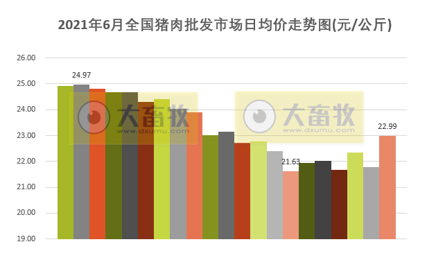 【完整版】2021年6月及上半年生猪行业数据汇总