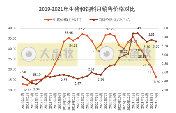 【完整版】2021年6月及上半年生猪行业数据汇总