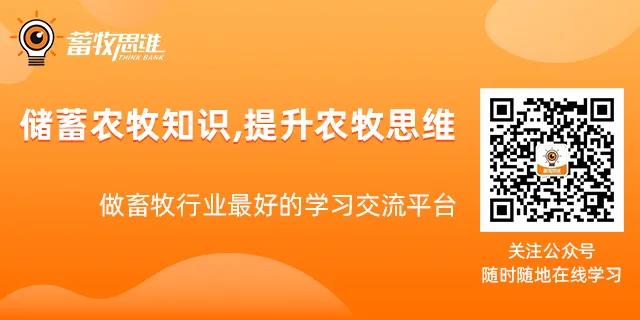 翁亚彪:饲料禁抗下如何构建家禽健康肠道系统