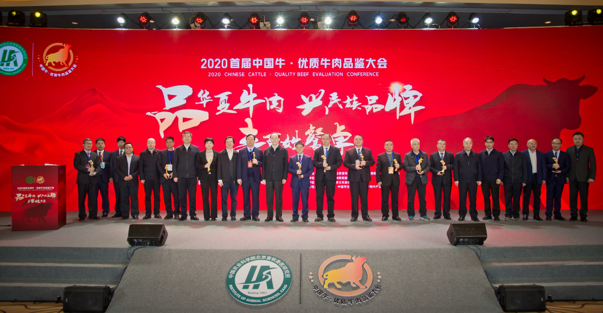 肉牛种业的昨天、今天和明天