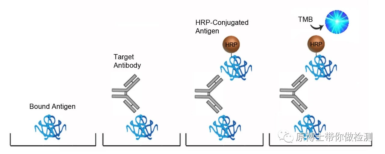 有33种,你知道选择哪一款非洲猪瘟病毒抗体检测试剂盒吗?这里有答案