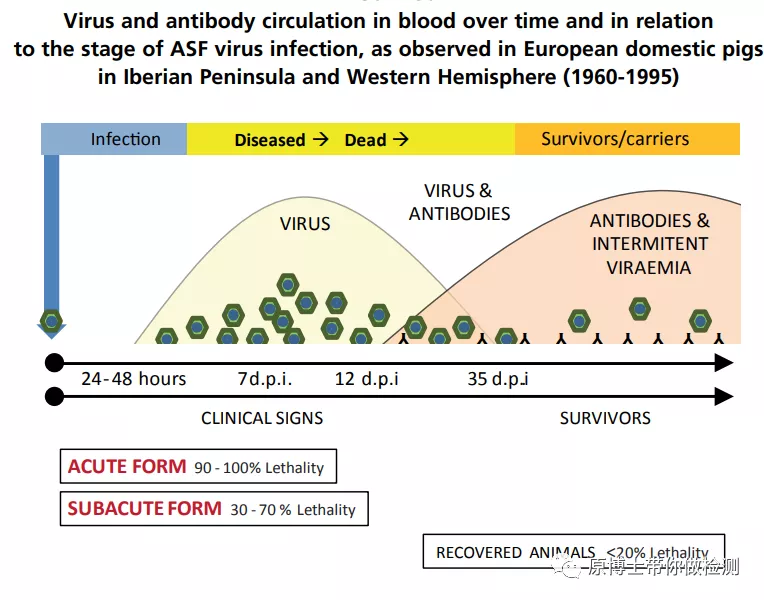 有33种,你知道选择哪一款非洲猪瘟病毒抗体检测试剂盒吗?这里有答案