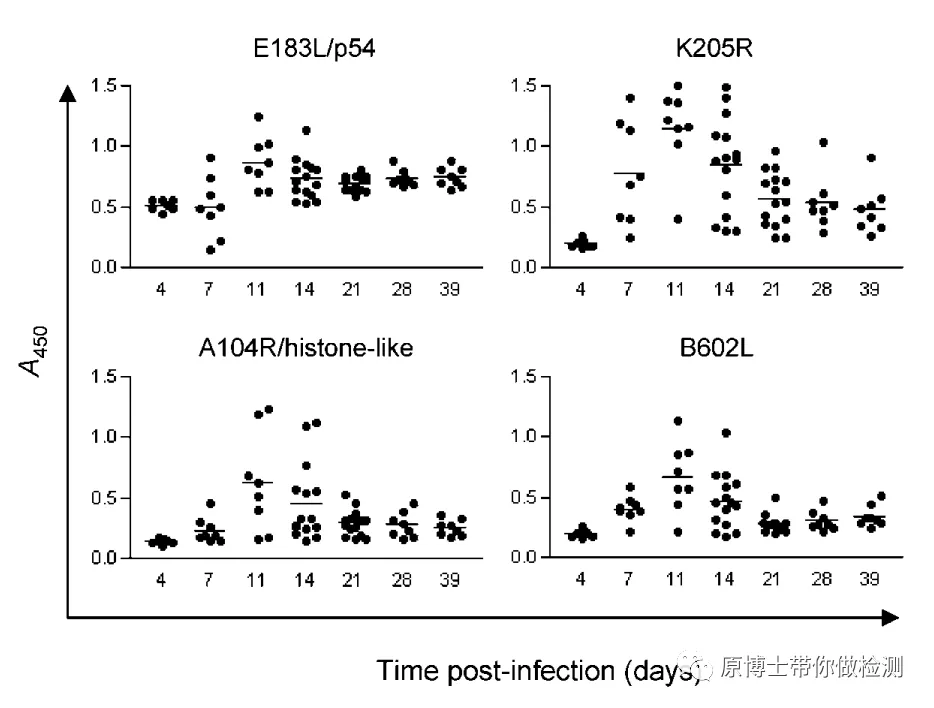 有33种,你知道选择哪一款非洲猪瘟病毒抗体检测试剂盒吗?这里有答案