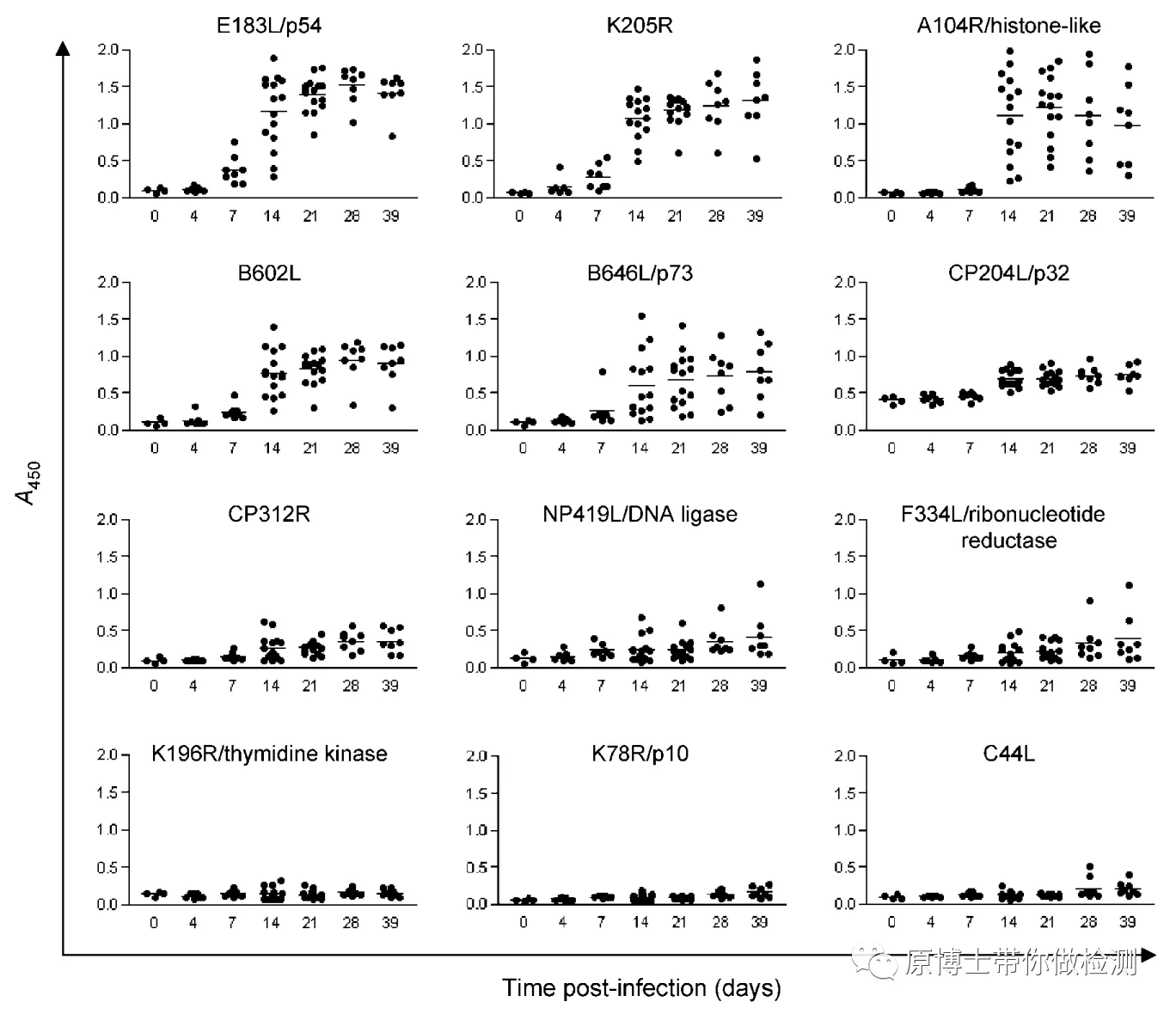 有33种,你知道选择哪一款非洲猪瘟病毒抗体检测试剂盒吗?这里有答案