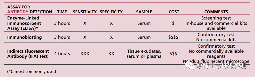 有33种,你知道选择哪一款非洲猪瘟病毒抗体检测试剂盒吗?这里有答案