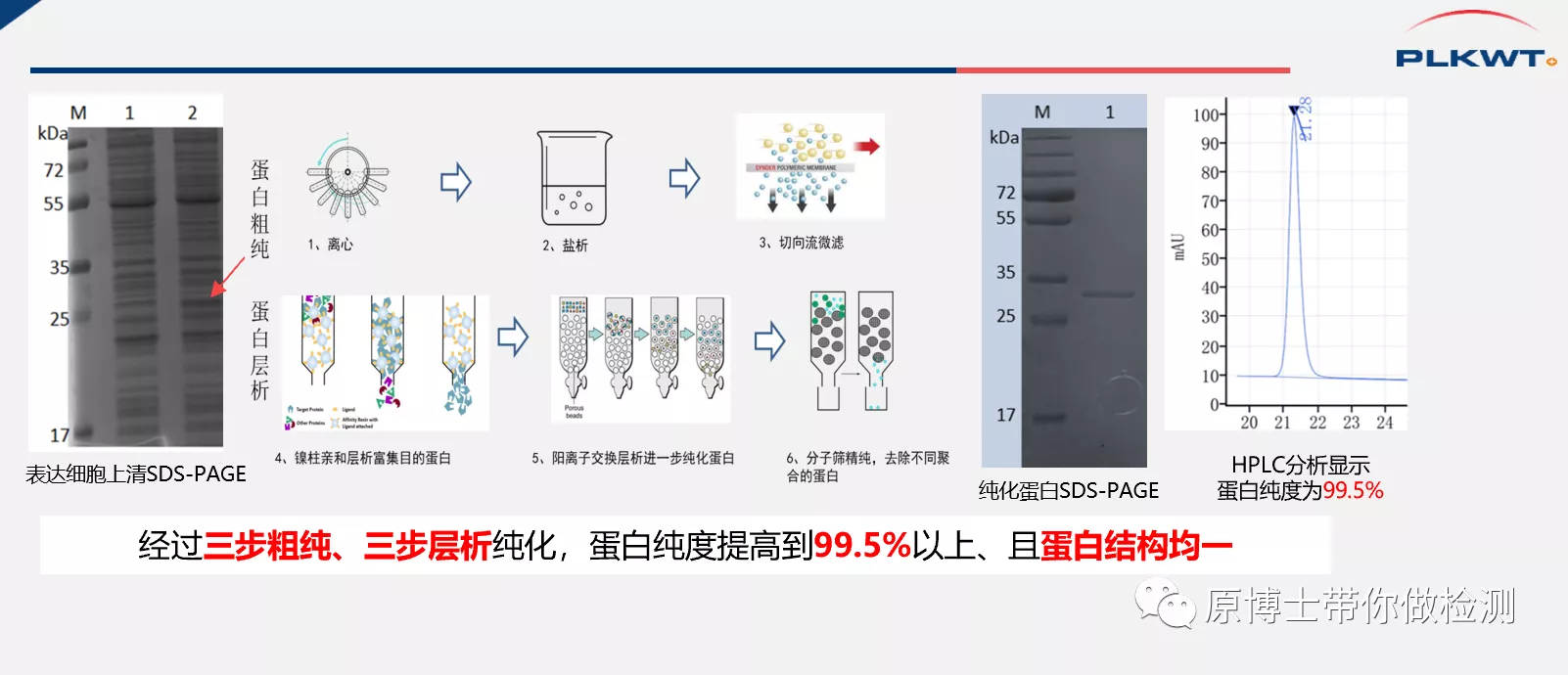 有33种,你知道选择哪一款非洲猪瘟病毒抗体检测试剂盒吗?这里有答案
