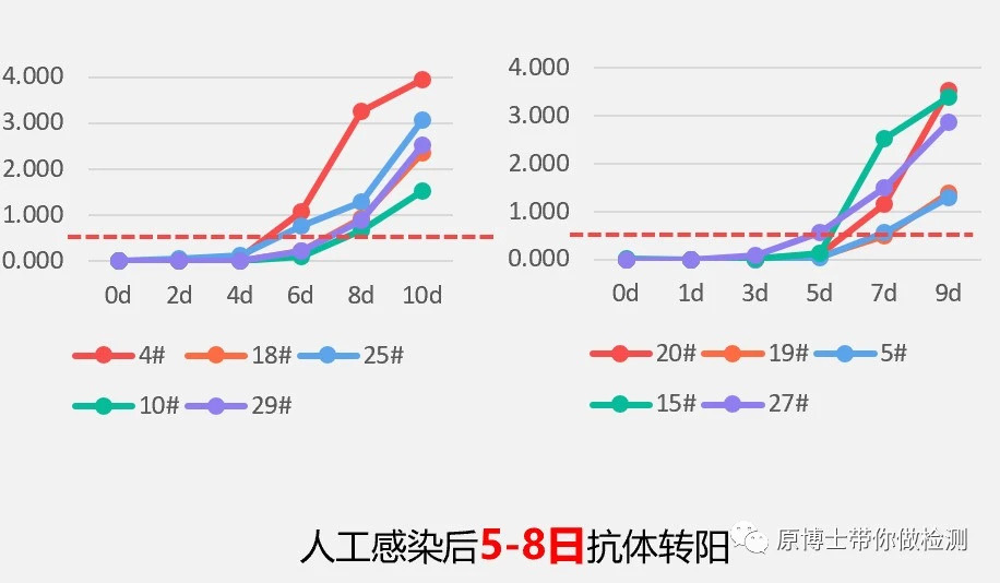 有33种,你知道选择哪一款非洲猪瘟病毒抗体检测试剂盒吗?这里有答案
