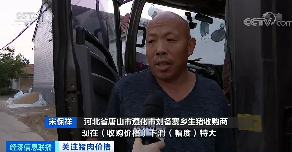 押宝大体猪，生猪价格却一路下行！如何应对猪周期下行，国家打出“组合拳”