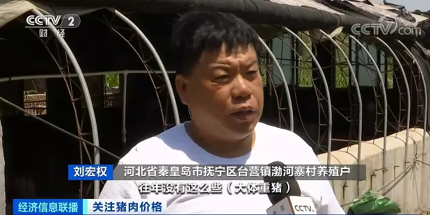 押宝大体猪，生猪价格却一路下行！如何应对猪周期下行，国家打出“组合拳”