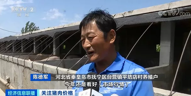 押宝大体猪，生猪价格却一路下行！如何应对猪周期下行，国家打出“组合拳”