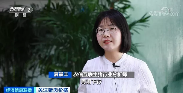 押宝大体猪，生猪价格却一路下行！如何应对猪周期下行，国家打出“组合拳”