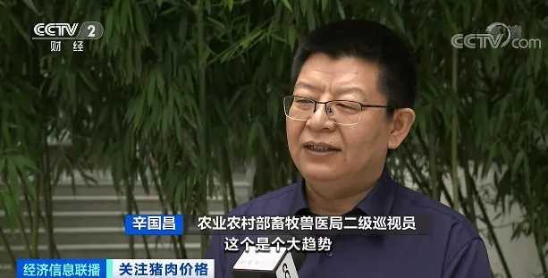 押宝大体猪，生猪价格却一路下行！如何应对猪周期下行，国家打出“组合拳”