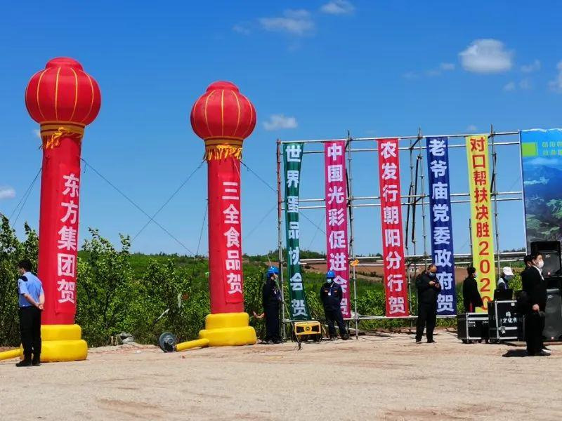 投资6.3亿，朝阳韩伟蛋业项目—蛋鸡生产加工全产业链正加快建设