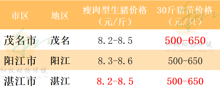 2021年7月29日猪价